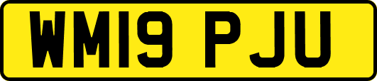 WM19PJU