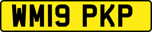 WM19PKP