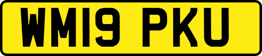 WM19PKU