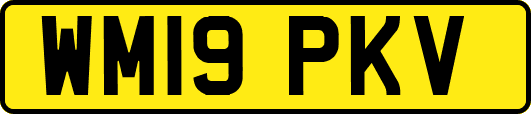 WM19PKV