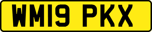 WM19PKX