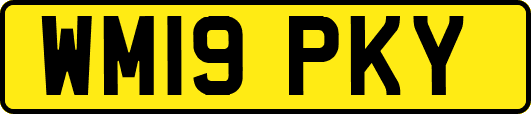 WM19PKY