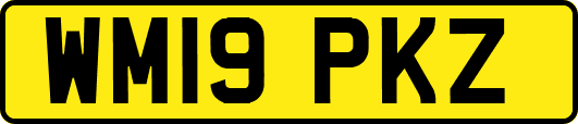 WM19PKZ