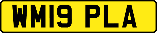 WM19PLA