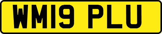 WM19PLU