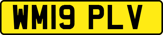 WM19PLV