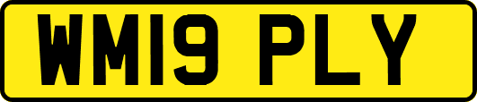 WM19PLY