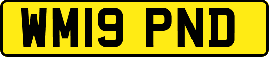 WM19PND