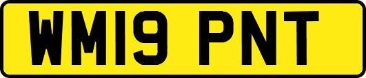 WM19PNT