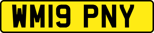WM19PNY