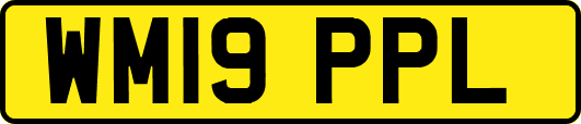 WM19PPL