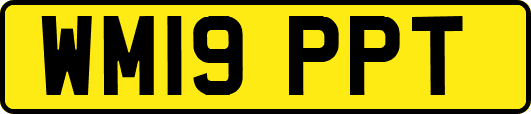 WM19PPT