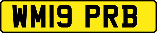 WM19PRB
