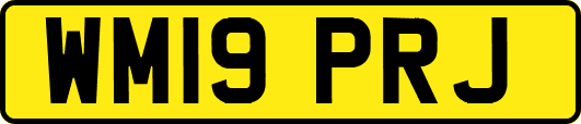 WM19PRJ