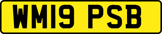 WM19PSB