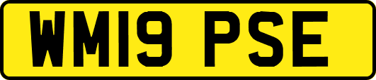 WM19PSE
