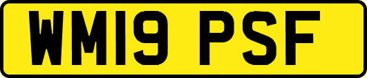 WM19PSF