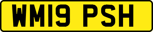 WM19PSH