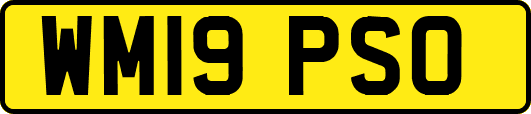 WM19PSO