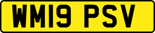 WM19PSV