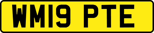 WM19PTE