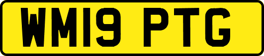 WM19PTG