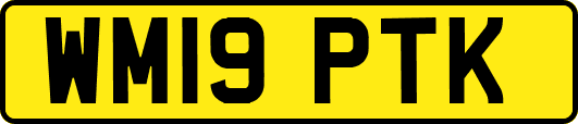 WM19PTK