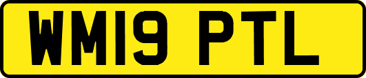 WM19PTL