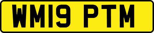 WM19PTM