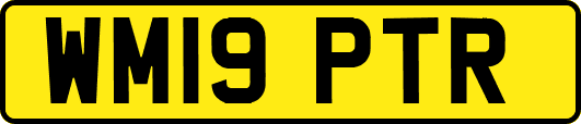 WM19PTR