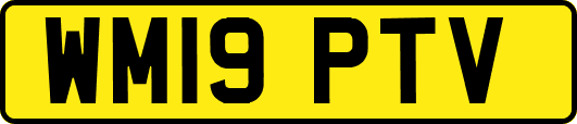 WM19PTV