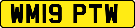 WM19PTW