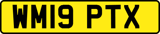 WM19PTX