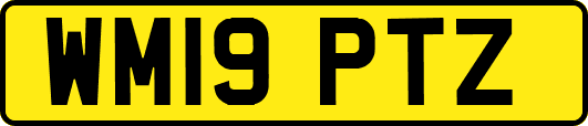 WM19PTZ