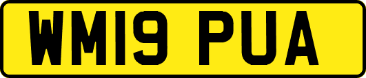 WM19PUA