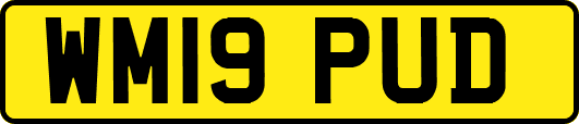 WM19PUD