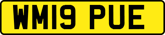 WM19PUE
