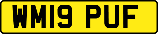 WM19PUF