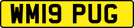 WM19PUG