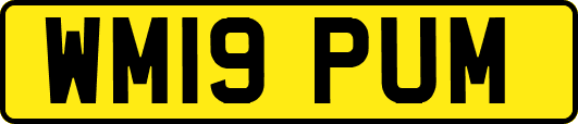 WM19PUM