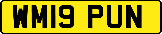 WM19PUN