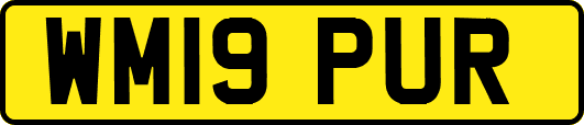 WM19PUR