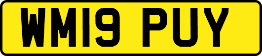 WM19PUY
