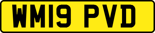 WM19PVD