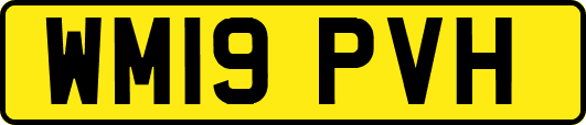 WM19PVH