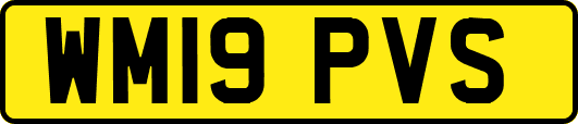 WM19PVS