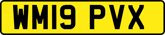 WM19PVX