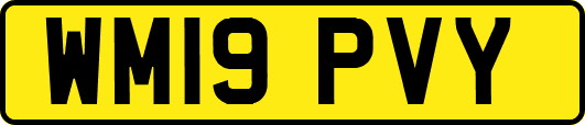 WM19PVY