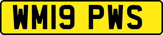 WM19PWS