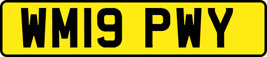 WM19PWY